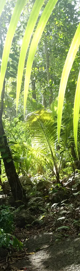Lost in Paradise